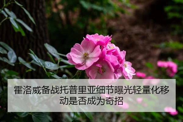 霍洛威备战托普里亚细节曝光轻量化移动是否成为奇招