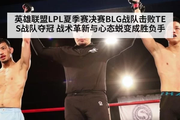 英雄联盟LPL夏季赛决赛BLG战队击败TES战队夺冠 战术革新与心态蜕变成胜负手
